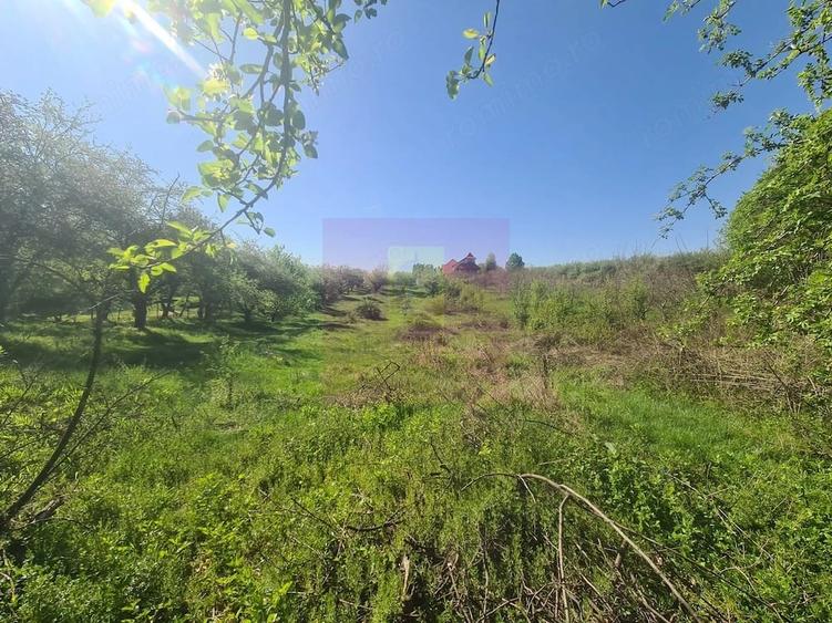 Teren de 2500 mp, în Voila