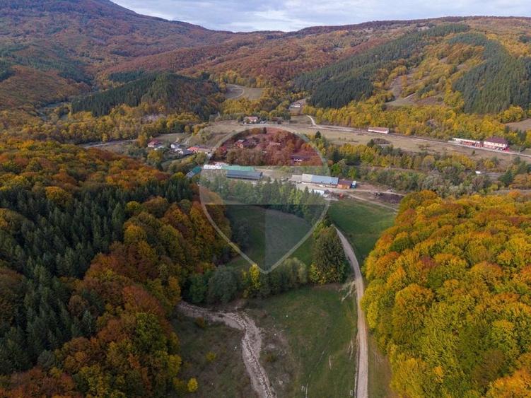 Teren agricol extravilan de 9540 mp, în Teliu