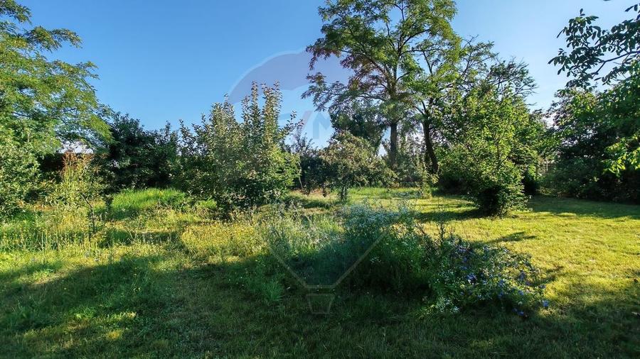 Casă individuală cu 4 camere cu Teren 1294 Mp în Snagov