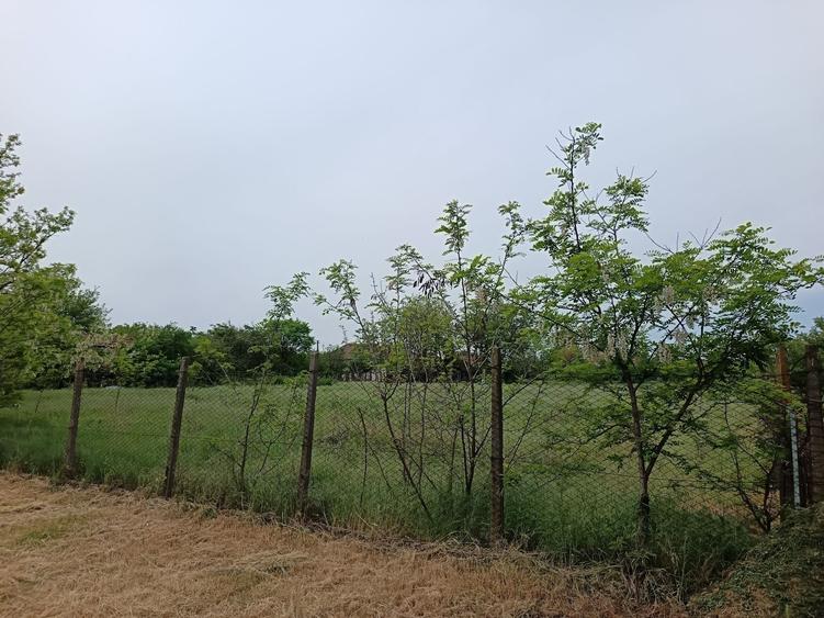 Casă cu 4 camere în Iratoșu