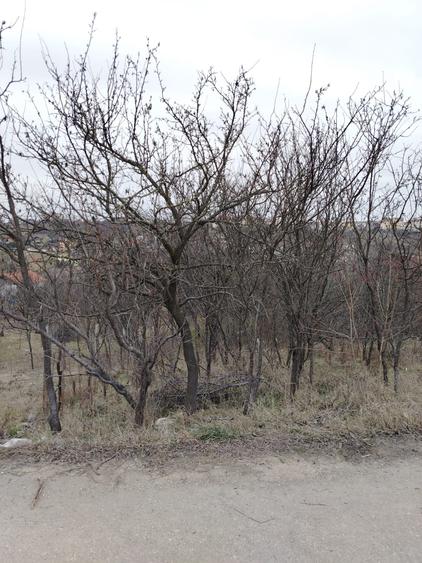 Teren Construcții intravilan de 2815 mp, în Periferie