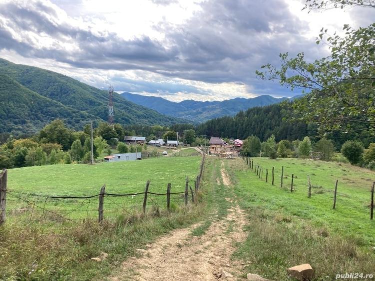 Teren de 4420 mp, în Vinețisu