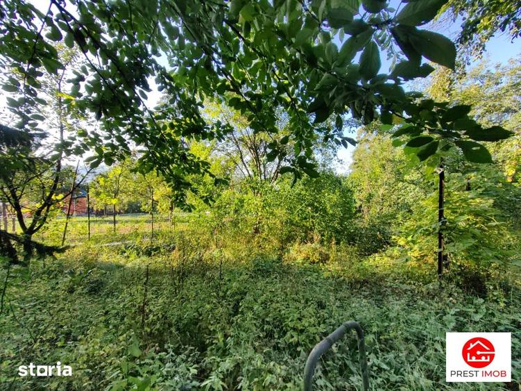 Teren intravilan 5 arii, Platoul Cornesti ,str Padurii , Targu Mures - 9