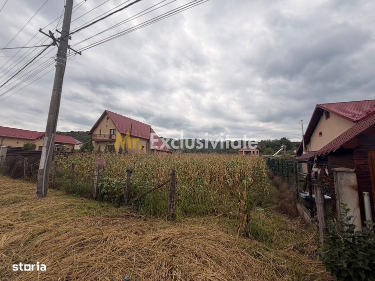 Spațiu comercial, în Băbana