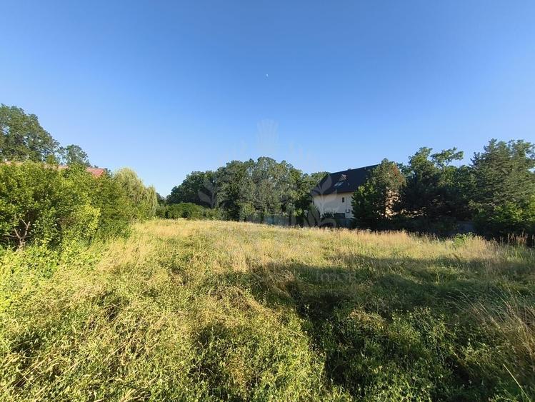 Teren Construcții intravilan de 5085 mp, în Păulești