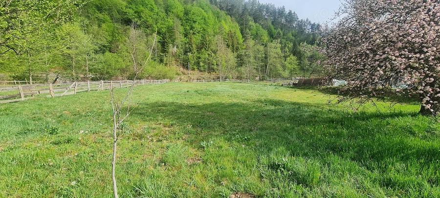 Casă cu 4 camere cu Teren 2727 Mp în Central