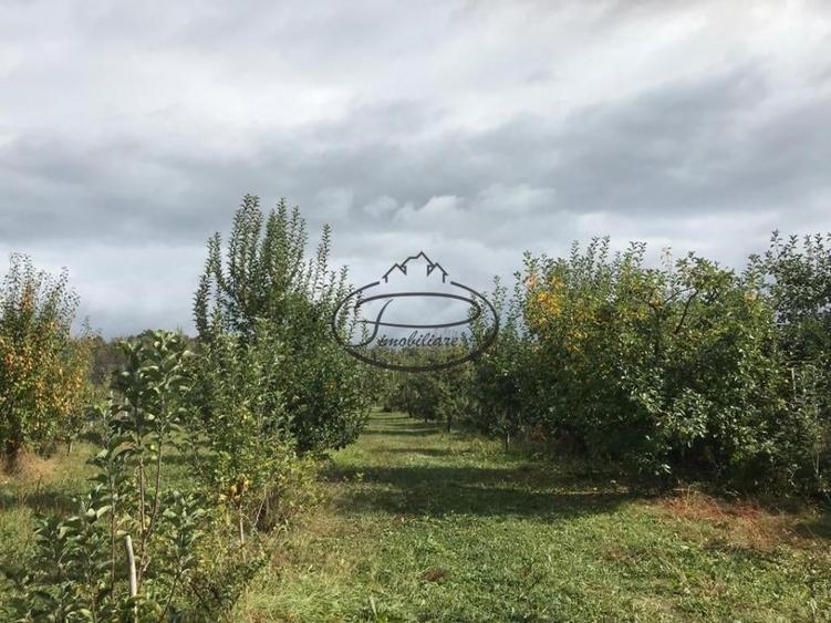 Casă individuală cu 3 camere cu Teren 1200 Mp în Voinești