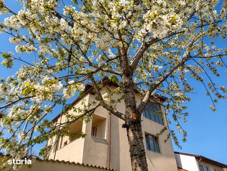 Casă cu 6 camere cu Teren 311 Mp în Giurgiului