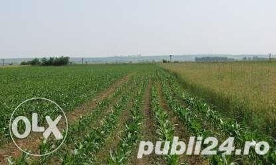 Teren de 38000 mp, în Central