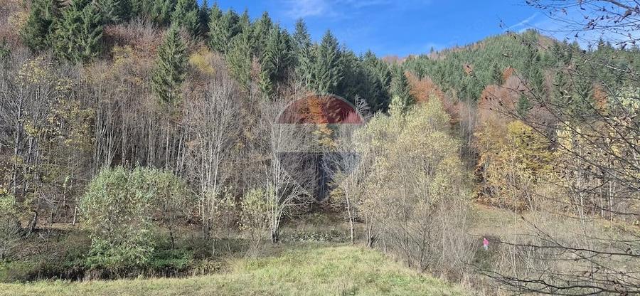 Teren de 2800 mp, în Schitu Tarcău