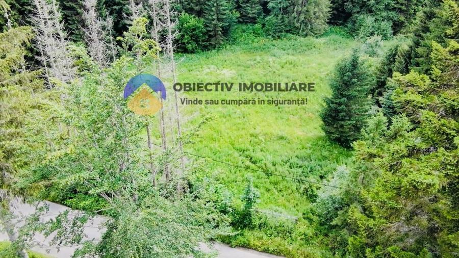 Teren intravilan de 14114 mp, în Schitu Tarcău
