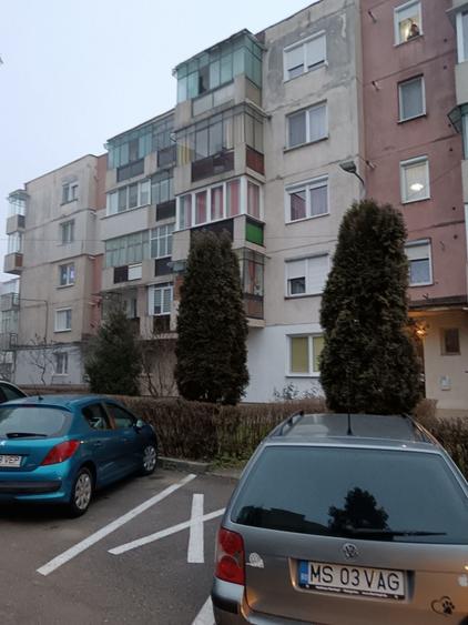 Apartament de inchiriat - 5