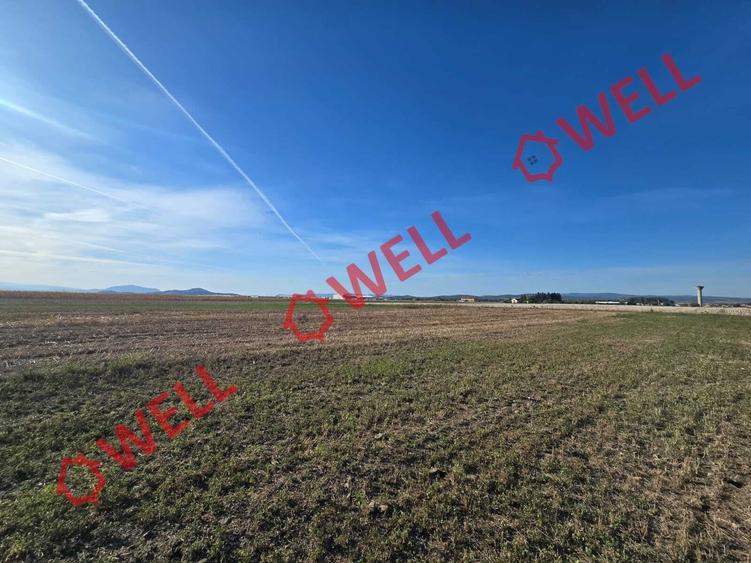 Teren agricol extravilan de 10000 mp, în Prejmer