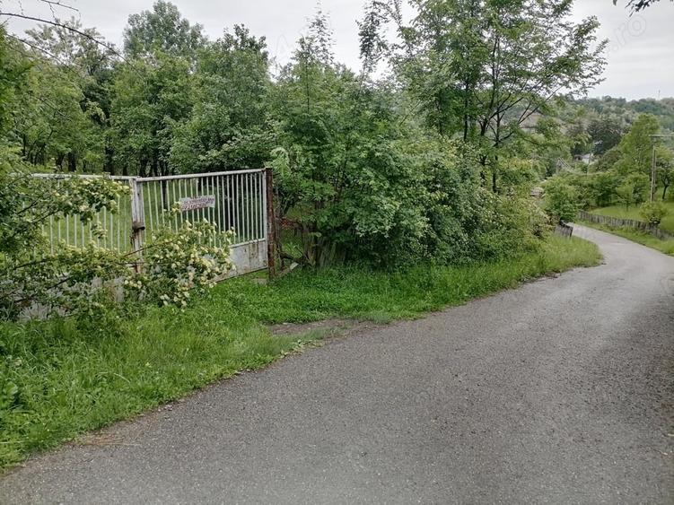 Teren de 4650 mp, în Lunca Mare