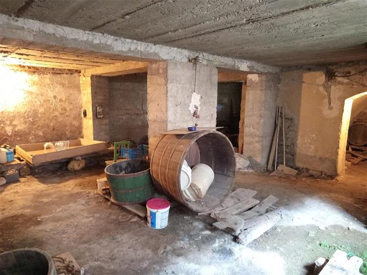 Casă individuală cu 20 camere cu Piscina în Socolari