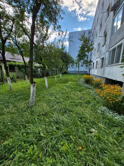 Apartament cu 3 camere semidecomandat în Mănăștur