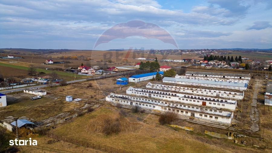 Teren de 39600 mp, în Traian