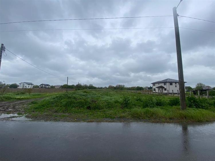 Teren Construcții intravilan de 3993 mp, în Ciorogârla