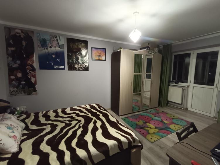 Apartament cu 2 camere decomandat în Viziru 3