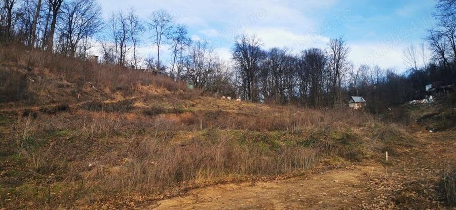 Teren Spitalul judetean pret redus 50% 5300 mp 15 euro negociabil - 5