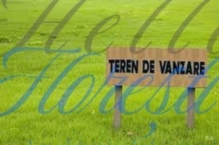 Teren Construcții intravilan de 11600 mp, în Sopor