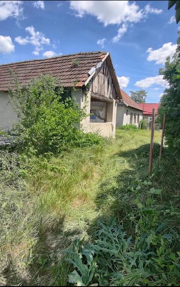 Casă cu 2 camere cu Teren 1400 Mp în Cheșa