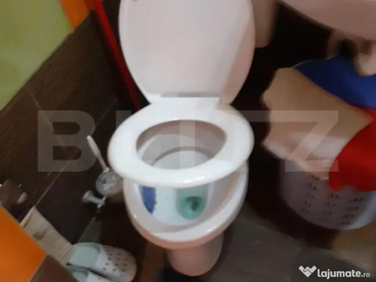 Garsonieră în Noua