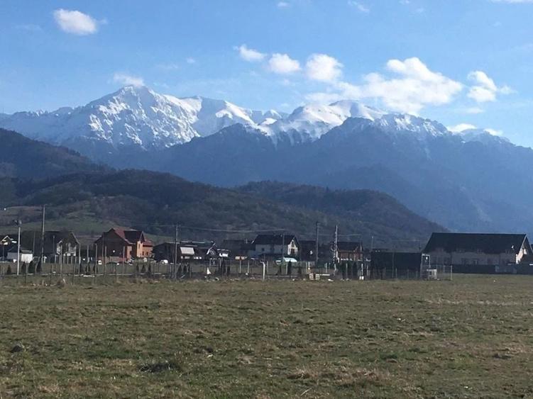 Teren Construcții intravilan de 8850 mp, în Exterior Sud