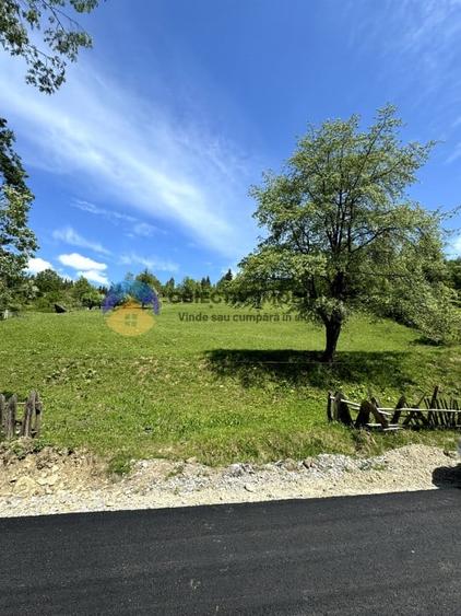 Teren intravilan de 11557 mp, în Ceahlău