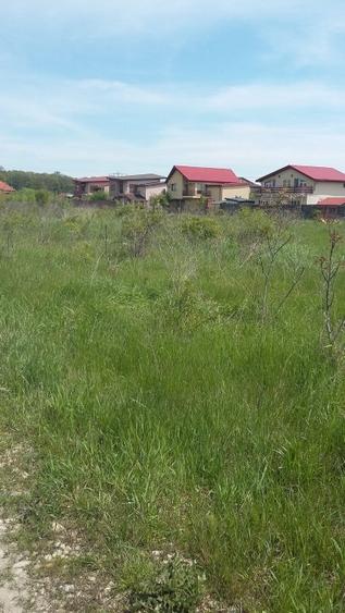 Teren Construcții intravilan de 5800 mp, în Gulia