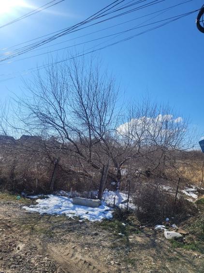 Teren Construcții intravilan de 5831 mp, în Nord