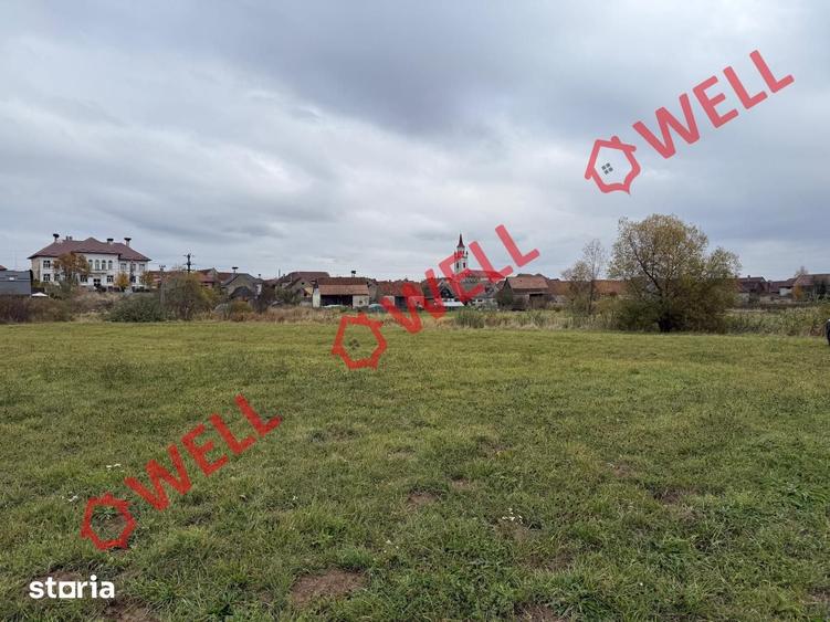 Teren de 3200 mp, în Dumbrăvița
