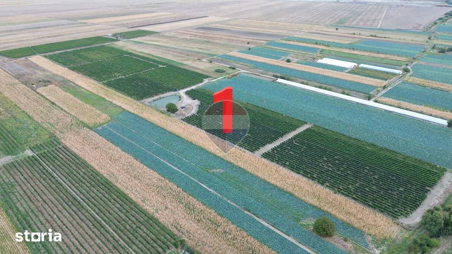 Teren de 12 mp, în Vidra