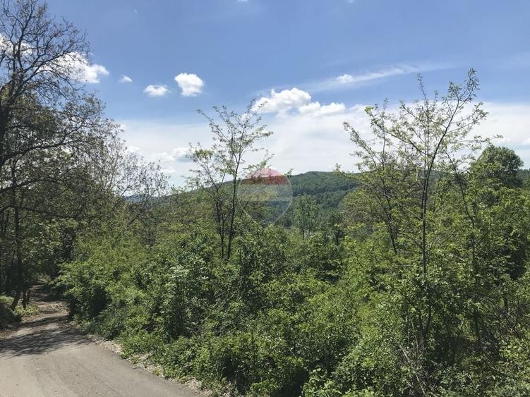 Teren Construcții intravilan de 2511 mp, în Nord