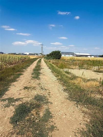 Teren Construcții intravilan de 2889 mp, în Sântion