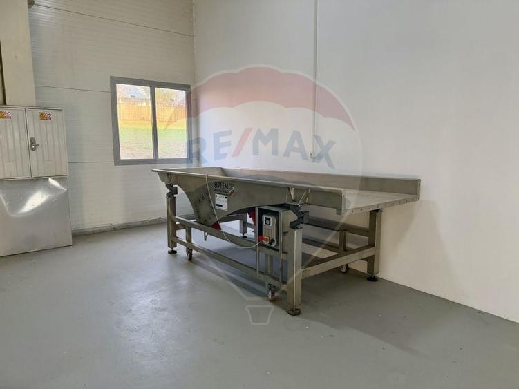 Spațiu industrial, de 700 mp, în Piscu