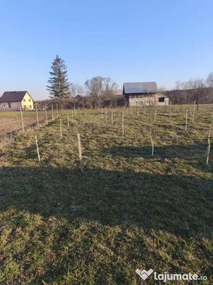 Casă cu 7 camere cu Teren 2500 Mp în Marginea