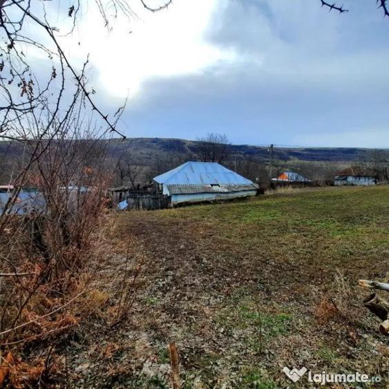 Casă cu 2 camere cu Teren 1628 Mp în Dănești