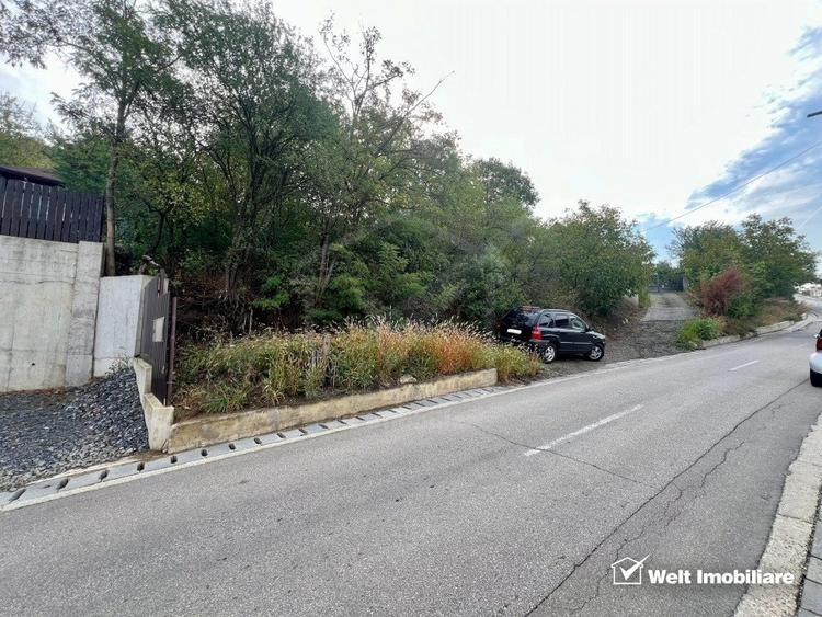 Teren Construcții intravilan de 5800 mp, în Dezmir