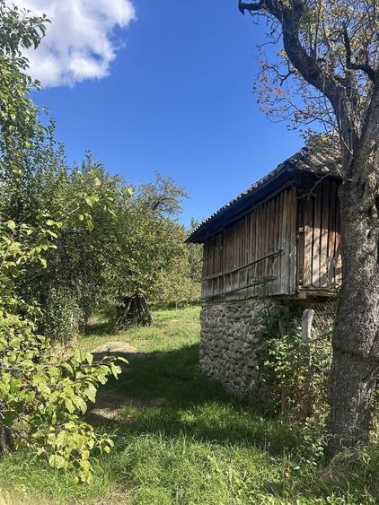Casă cu 3 camere în Central