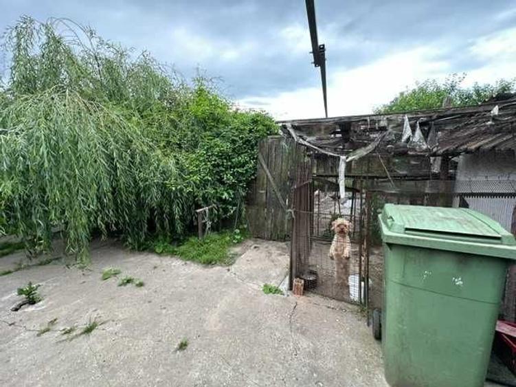 Casă cu 3 camere în Moara Vlăsiei