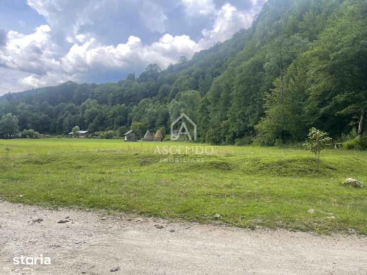 Teren de 4500 mp, în Dâmbovicioara