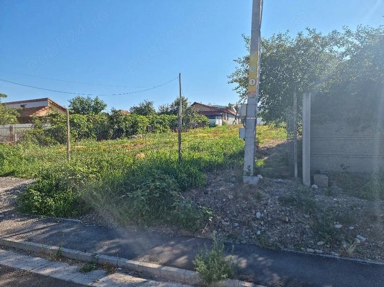 Teren de 6500 mp, în Central