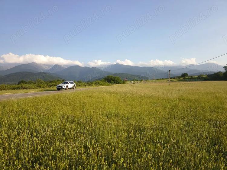 Teren de 1800 mp, în Cârțișoara