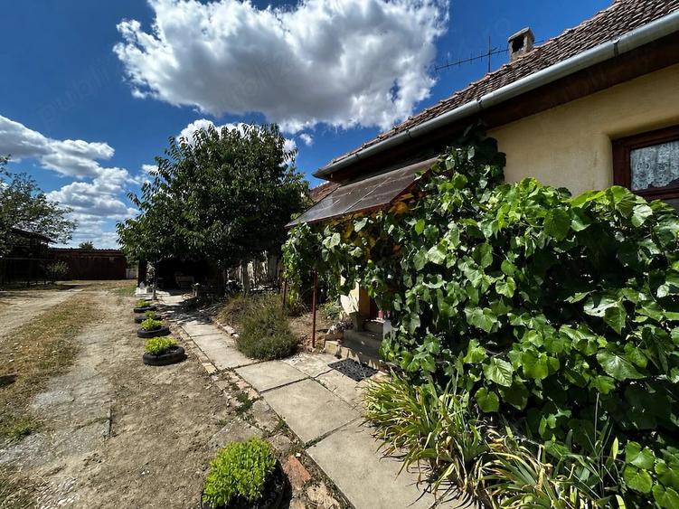Casă cu 4 camere cu Teren 2877 Mp în Sânpetru Mare