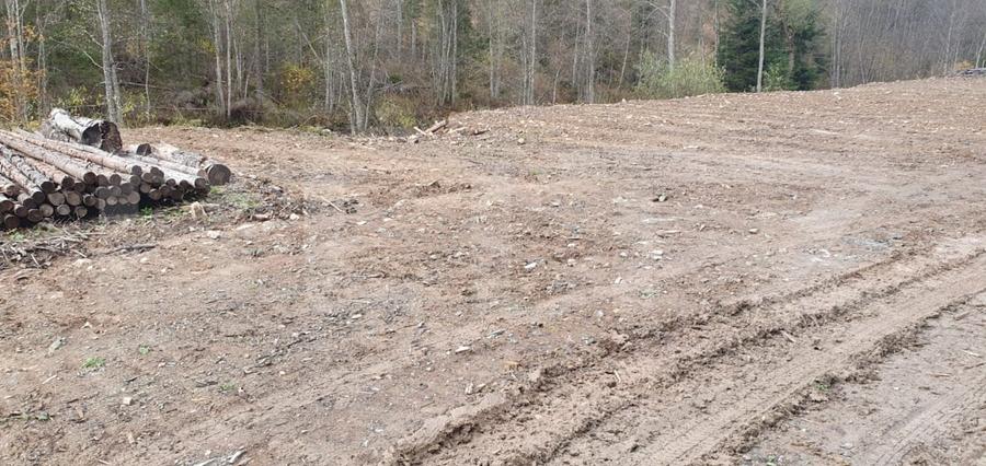 Teren Construcții extravilan de 10937 mp, în Vatra Dornei