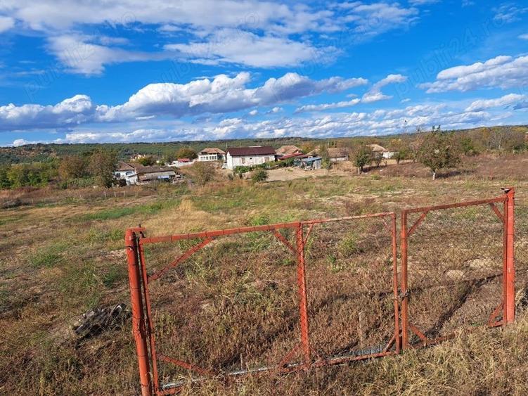 Teren de 5000 mp, în Vrancea
