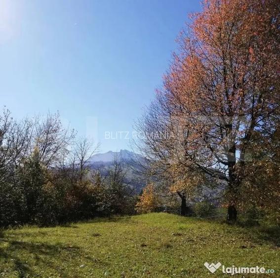Teren 2500 mp, la strada, Ceahlau,, locatie perfecta - Ceahlau (Neamt)