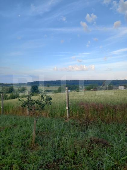 Teren Construcții intravilan de 4447 mp, în Exterior Est