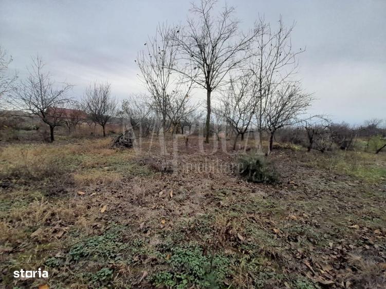 Teren intravilan pentru constructii de vanzare in Paleu, Oradea - 4